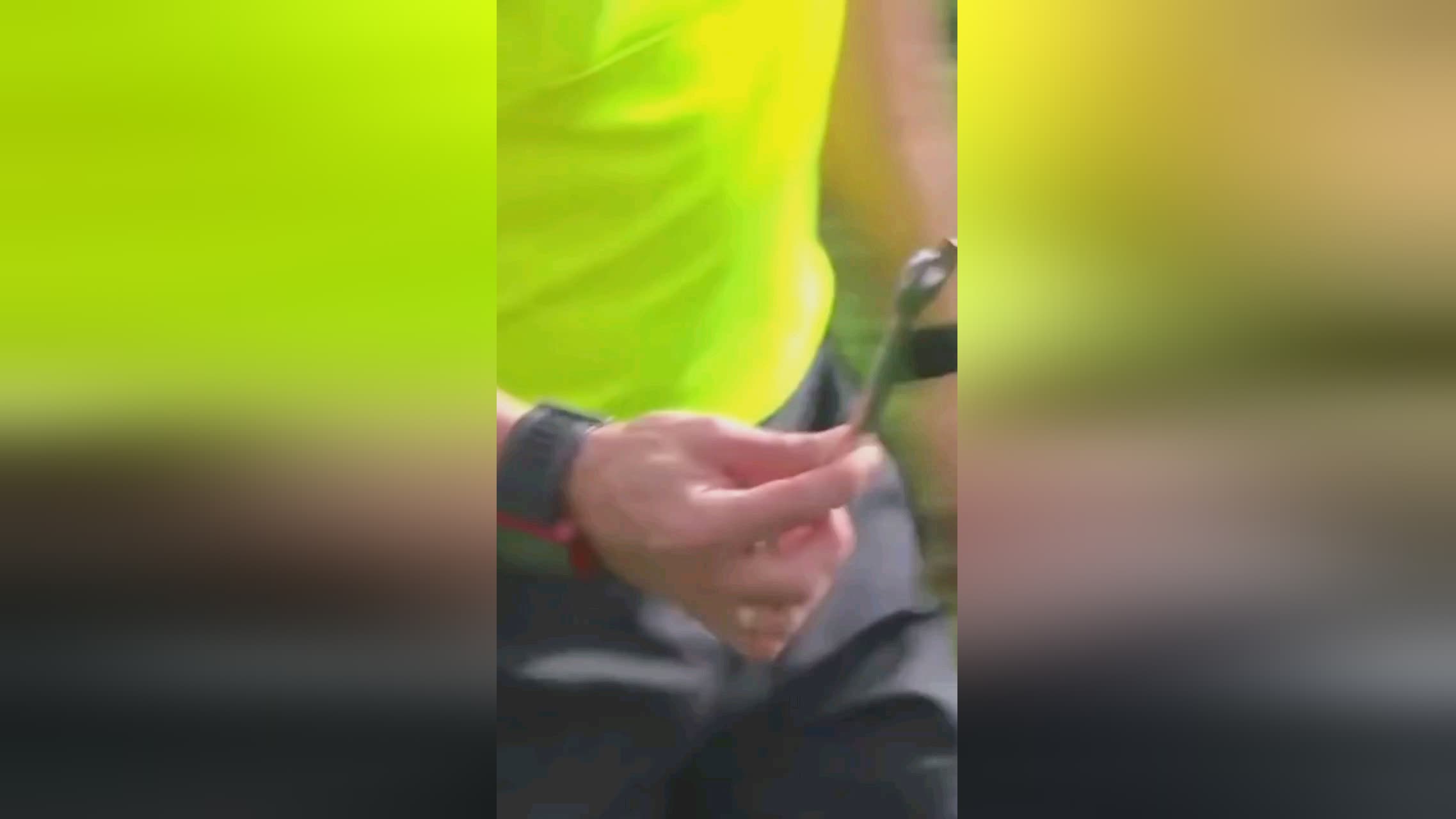 港在新