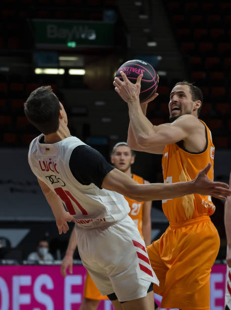 梅里诺的加 梅里诺的加